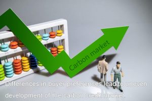 買(mǎi)方偏好的差異導(dǎo)致了碳信用市場(chǎng)的不平衡發(fā)展。