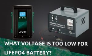 什么電壓對生命至關重要
